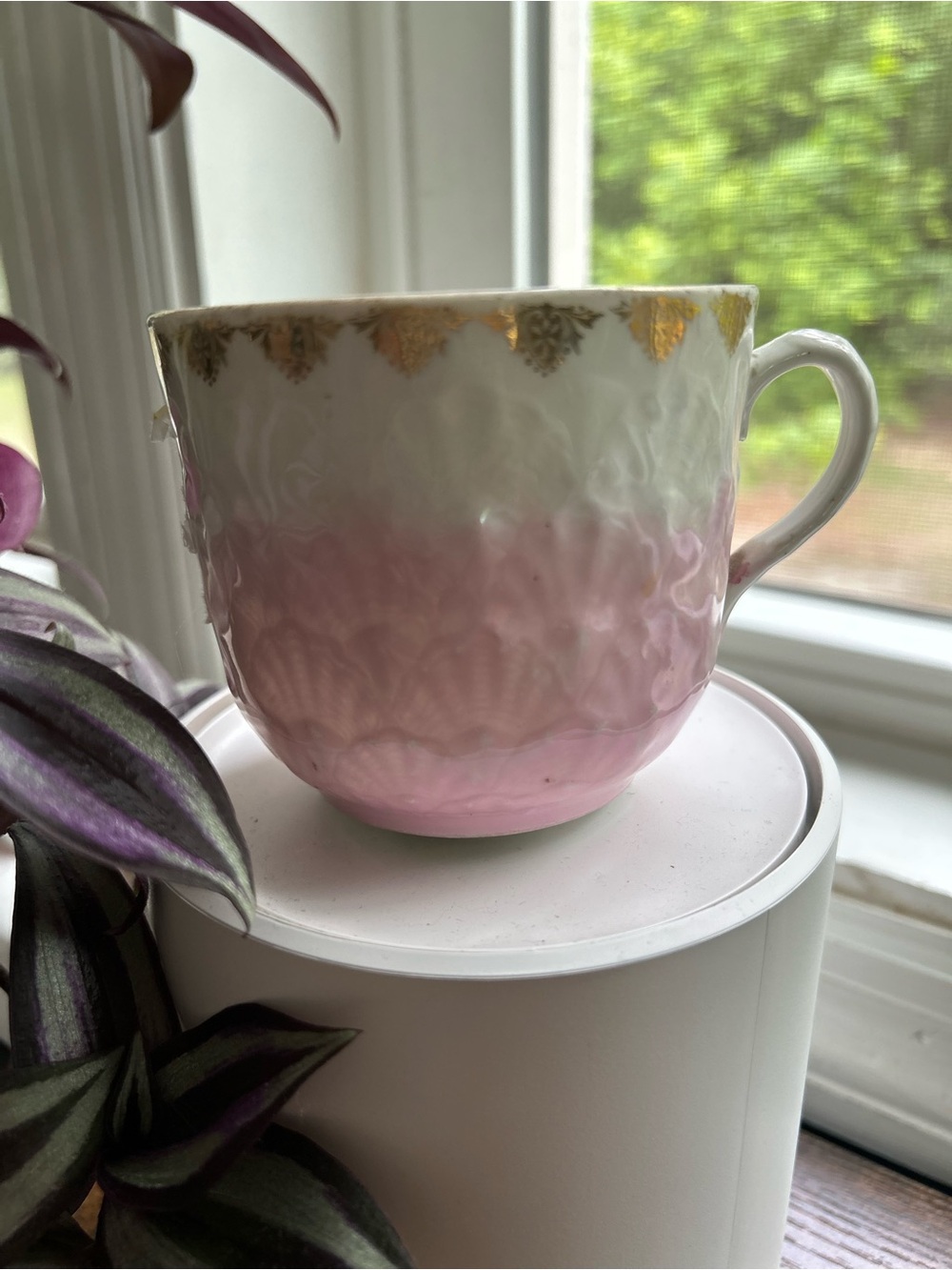 Pink and White Vintage KPM Porcelain Teacup with Gold Trim. Made in Germany